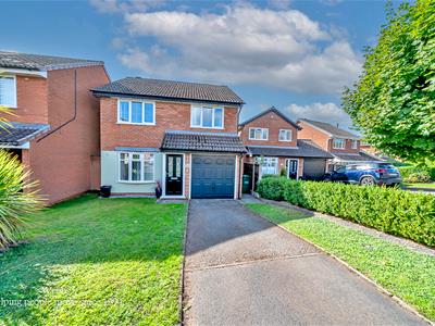 Picture 30